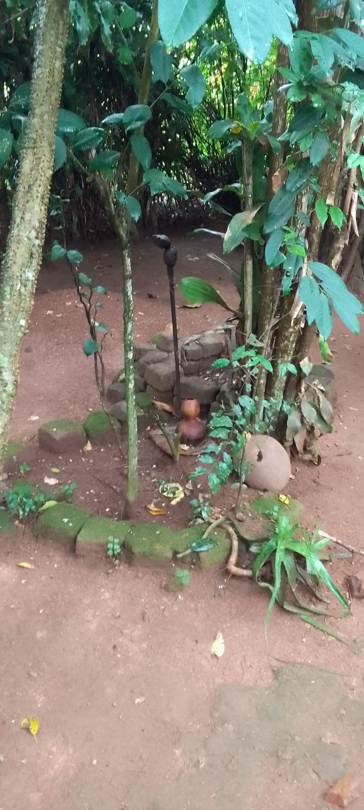 Ancestral Traditional Healing Rituals - The Ancient Healers