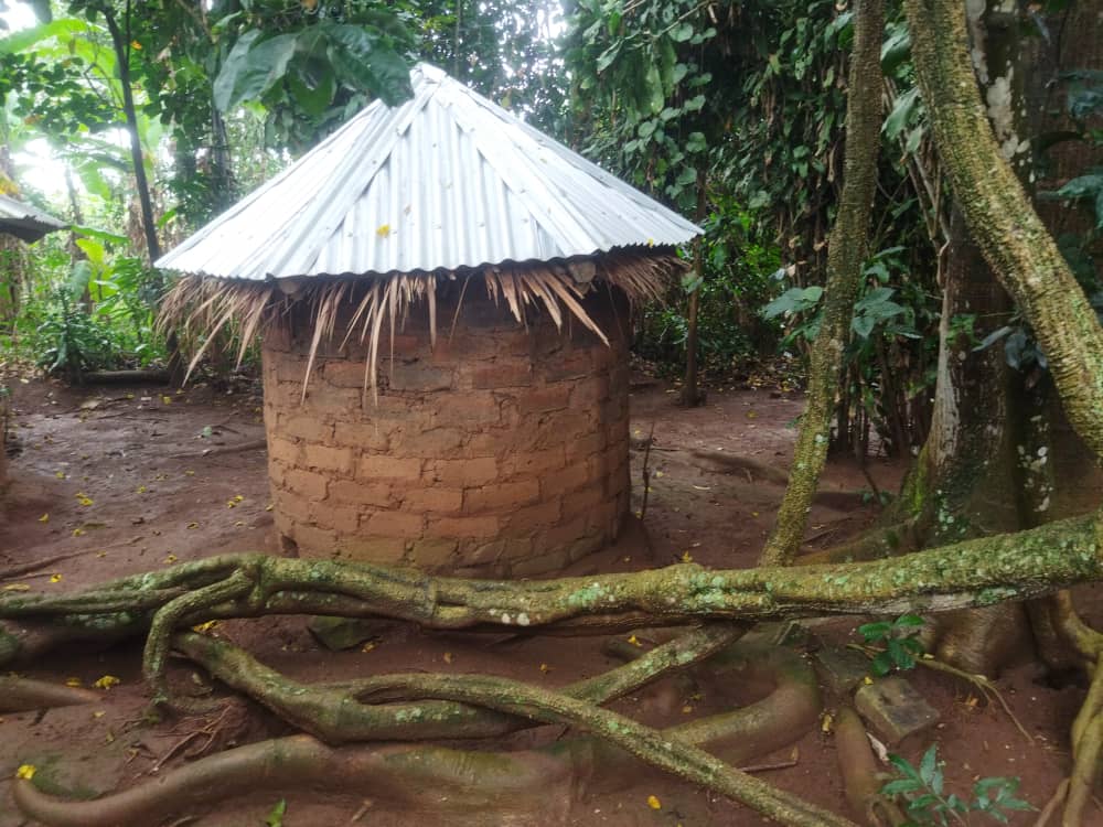 Acient - Traditional Healer